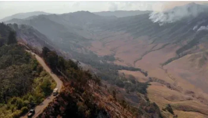 Ditutup total! kebakaran Bromo, akses hanya untuk warga Ranupani dan Ngadas