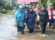 Salurkan Bantuan kepada Korban Banjir, Bupati Bengkalis Terobos Genangan Air Masih Tinggi