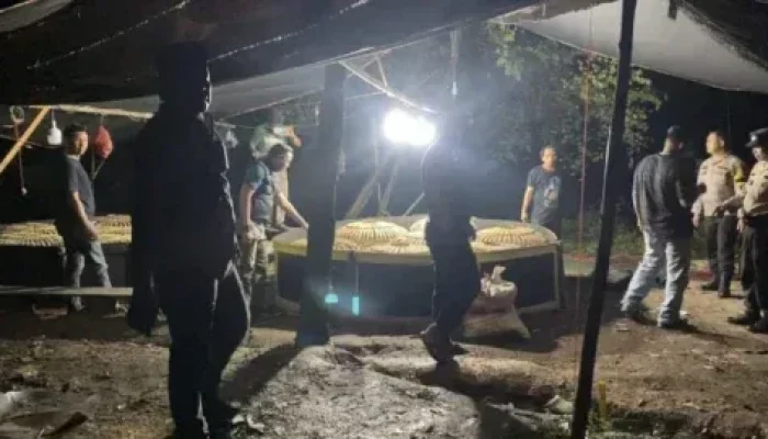 Polsek Tenayan Raya Grebek Kegiatan Judi Sabung Ayam di Pekanbaru