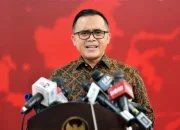 Menteri PANRB: WFH Maksimal 50 Persen, Pelayanan Publik Tetap Berjalan Optimal