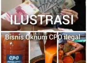 Berlindung dengan kartu Pers, Oknum Wartawan di Dumai beking CPO iLegal