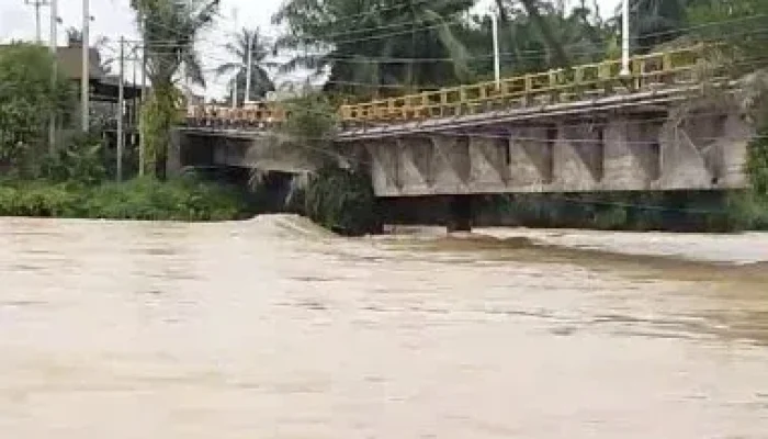 Tokoh Masyarakat Riau Minta Jembatan Sungai Rokan Segera Diperbaiki, Sudah Surati Presiden Prabowo