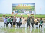 Wabup Rohil dan Dandim 0321 Tinjau Kilang Padi, Dorong Revitalisasi untuk Perkuat Ketahanan Pangan