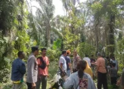 Warga Ujung Batu Temukan Pria Lansia Meninggal di Ladang, Diduga karena Sakit Jantung