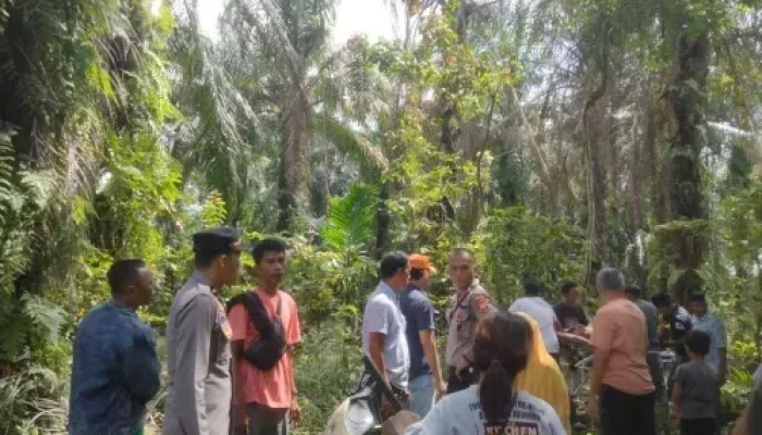 Warga Ujung Batu Temukan Pria Lansia Meninggal di Ladang, Diduga karena Sakit Jantung