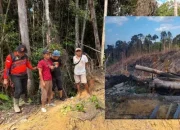 Tega Bakar Hutan, 3 Orang Pelaku Dibekuk Polres Rohul di Tanjung Medan