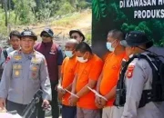 Perkebunan Sawit Ilegal dan Amankan 4 Tersangka, Kapolda Riau: Tidak Ada Toleransi Perusakan Hutan
