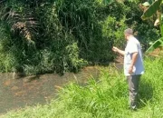 Jeritan dari Sungai Bawah: Limbah PKS Diduga Biang Kerusakan, Warga Tuntut Keadilan