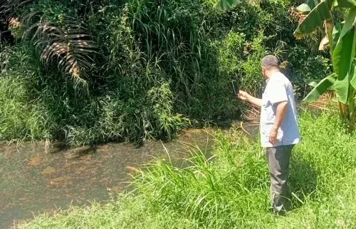 Jeritan dari Sungai Bawah