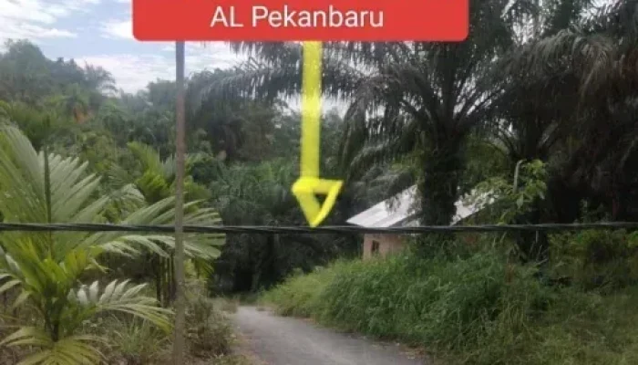 Kabel Listrik Tegangan Tinggi Melintang di Jalan Sekolah, PT PLN UP3 Pekanbaru Dinilai Abaikan Keselamatan Warga