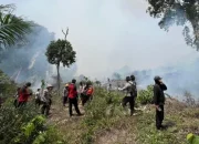 Kapolres AKBP Emil Turun Langsung Padamkan Api di Lokasi Karhutla Rokan Hulu