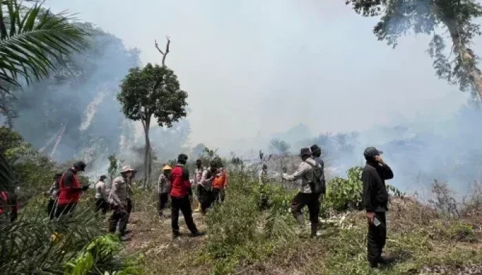 Cuaca Riau Relatif Stabil, BMKG Catat 57 Hotspot Terpantau