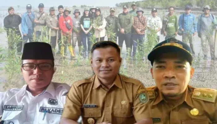 Tiga Desa Kompak Selamatkan Mangrove, RPJMDes Bantan Kini Bernapas Hijau