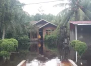 Hujan Berkepanjangan, Banjir Genangi Kampung Mengkapan