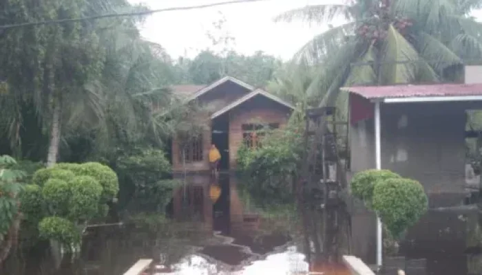 Hujan Berkepanjangan, Banjir Genangi Kampung Mengkapan