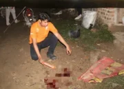 Cekcok di Lapo Pringsewu Berujung Penusukan Maut