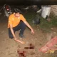 Cekcok di Lapo Pringsewu Berujung Penusukan Maut