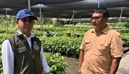 Pulihkan Tesso Nilo, Menhut Siapkan Ribuan Bibit Pohon Pengganti Sawit