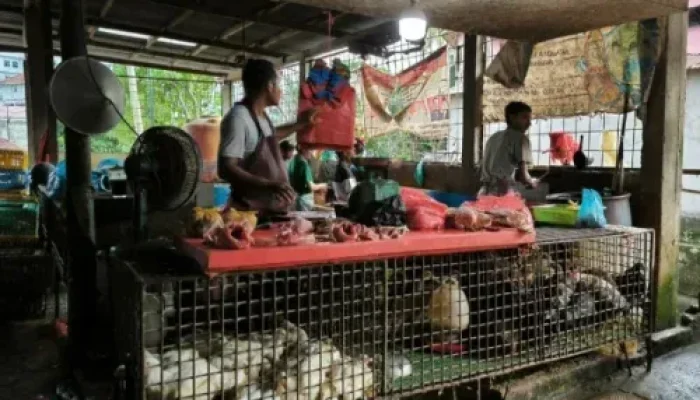 Harga Pangan Melonjak di Pekanbaru Jelang Tahun Baru 2026, Ayam Tembus Rp37 Ribu