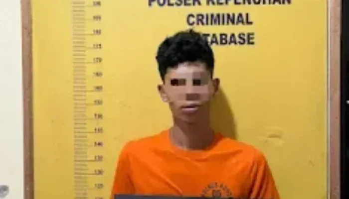 Diduga Curi Sawit, Warga Serahkan Pria ke Polsek Kepenuhan