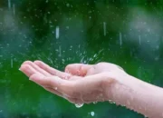 Waspada Hujan dan Angin Kencang, BMKG Peringatkan Cuaca Riau Masih Labil