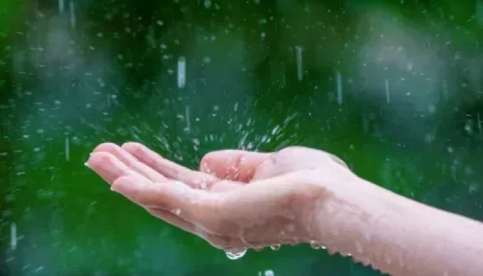 Waspada Hujan dan Angin Kencang, BMKG Peringatkan Cuaca Riau Masih Labil