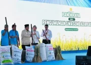 Swasembada Pangan 2025 Tercapai Lebih Cepat, Indonesia Hentikan Impor Beras