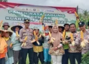 Panen Jagung Serentak di Pesawaran, Polri Perkuat Swasembada Pangan
