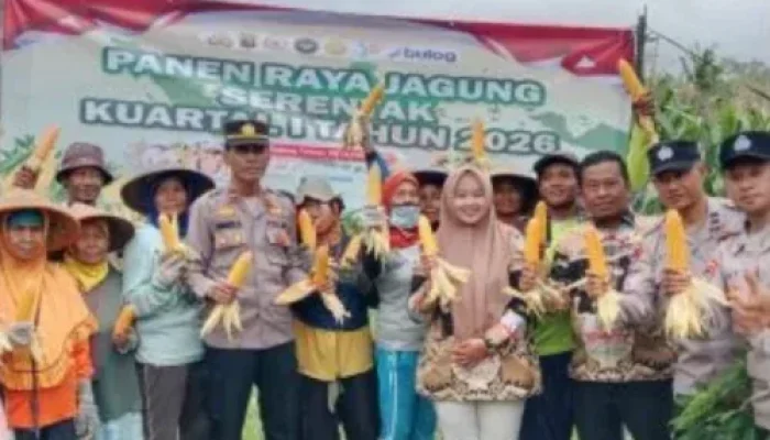 Panen Jagung Serentak di Pesawaran, Polri Perkuat Swasembada Pangan