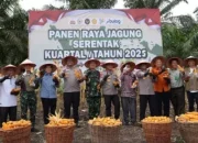 Panen Jagung di Kampar, Brimob Riau Dukung Program Swasembada Pangan