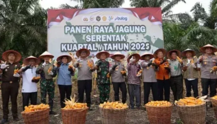 Panen Jagung di Kampar, Brimob Riau Dukung Program Swasembada Pangan