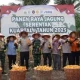 Panen Jagung di Kampar, Brimob Riau Dukung Program Swasembada Pangan