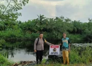 Musim Hujan, Ancaman Buaya Mengintai Bantaran Sungai Bangko