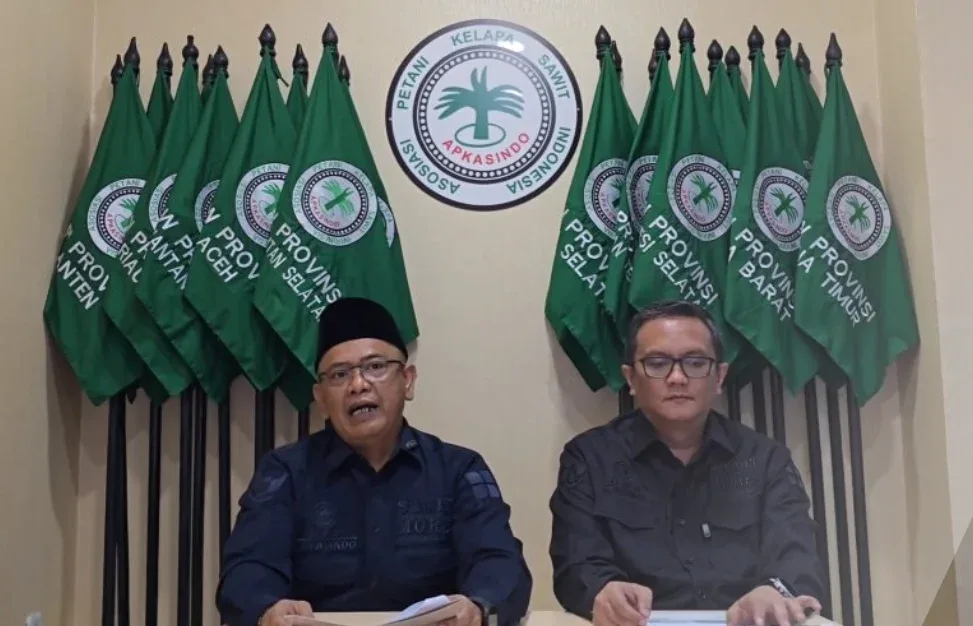 Harga CPO Dunia Melonjak, Petani Sawit Masih Tertekan di Hilir