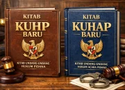 KUHP Baru Dinilai Lindungi Pengkritik Pemerintah dari Kriminalisasi