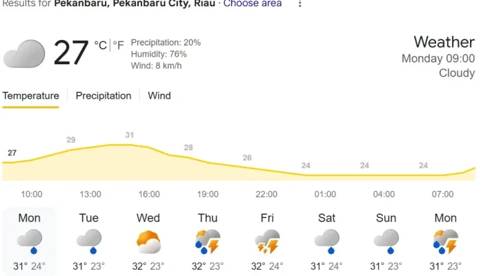 Cuaca Riau Hari Ini Didominasi Hujan, BMKG Peringatkan Potensi Petir dan Angin Kencang