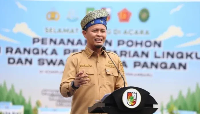 Pemko Pekanbaru Siapkan JPO Ramah Disabilitas di Sudirman, Akses Publik Jadi Fokus