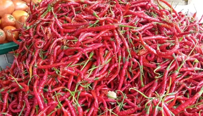 Jelang Ramadan, Harga Bahan Pokok di Pasar Tangor Pekanbaru Masih Aman