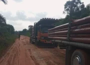 Listrik Mulai Masuk Dusun Terisolir Siak, Warga di Tengah Konsesi Akhirnya Dapat Harapan