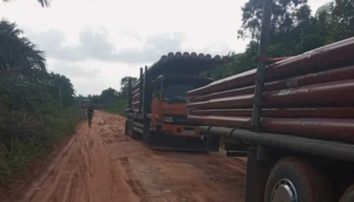 Listrik Mulai Masuk Dusun Terisolir Siak, Warga di Tengah Konsesi Akhirnya Dapat Harapan