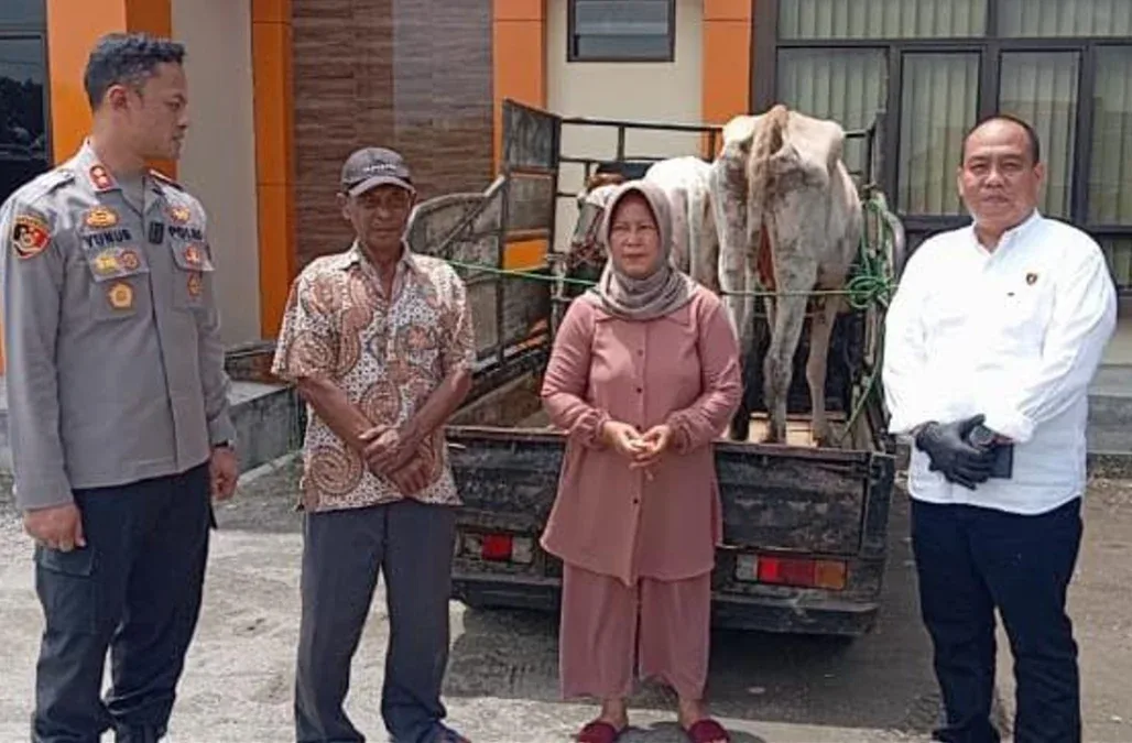 Komplotan Pencuri Sapi Bertahun-tahun Beraksi di Pringsewu, Satu Pelaku Tewas Usai Melawan Polisi