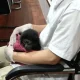 Polresta Pekanbaru Bongkar Perdagangan Owa Siamang, Satu Pelaku Diamankan