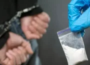 Oknum ASN di Inhu Ditangkap Edarkan Sabu, Polisi Sita Hampir 6 Gram