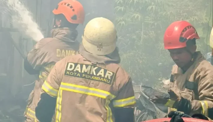 Kebakaran Hebat di Sukajadi Pekanbaru, Rumah dan Kios Ludes Terbakar