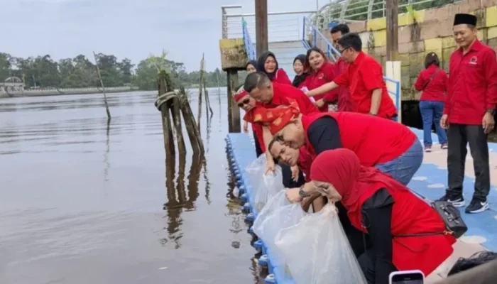Peringati HUT Megawati, PDI Perjuangan Siak Tebar Ribuan Benih Lele di Sungai Siak