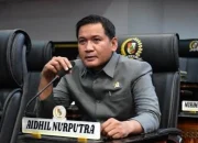 Kabel Fiber Optik Semrawut, DPRD Pekanbaru Desak Satgas Segera Bertindak