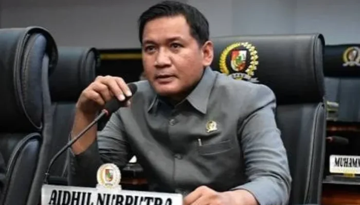 Kabel Fiber Optik Semrawut, DPRD Pekanbaru Desak Satgas Segera Bertindak