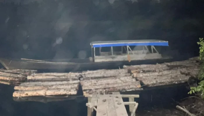Polres Bengkalis Bongkar Illegal Logging di Sungai Nibung, Tiga Pelaku Diamankan