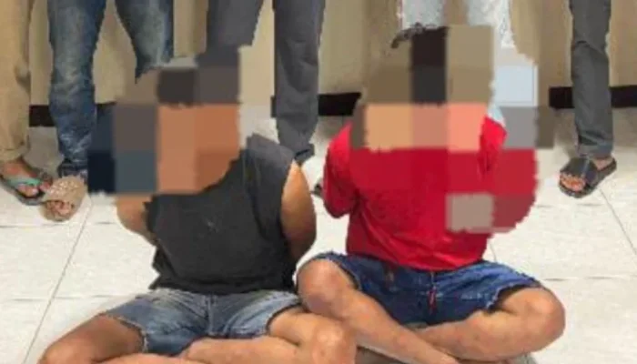 Curanmor di Siak Hulu Terbongkar, Dua Pelaku Ditangkap
