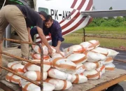 5 Ton Garam Disebar, Riau Genjot Hujan Buatan Tekan Karhutla 2026
